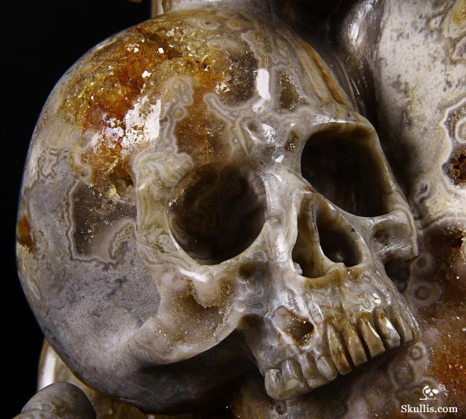 Feb 12, 2015 ACSAD (A Crystal Skull a Day) - Wisdom Through Experience - Petrified Wood Carved Crystal Skulls with Owl and Bones Sculpture Feb 12, 2015 ACSAD (A Crystal Skull a Day) - Wisdom Through Experience - Petrified Wood Carved Crystal Skulls with Owl and Bones Sculpture