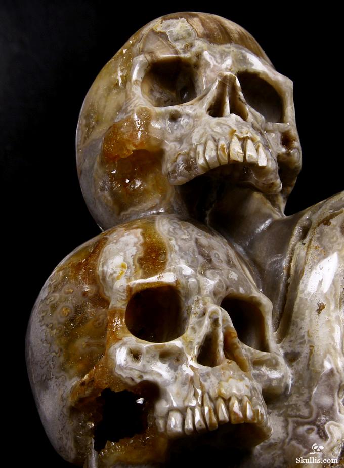 Feb 12, 2015 ACSAD (A Crystal Skull a Day) - Wisdom Through Experience - Petrified Wood Carved Crystal Skulls with Owl and Bones Sculpture Feb 12, 2015 ACSAD (A Crystal Skull a Day) - Wisdom Through Experience - Petrified Wood Carved Crystal Skulls with Owl and Bones Sculpture