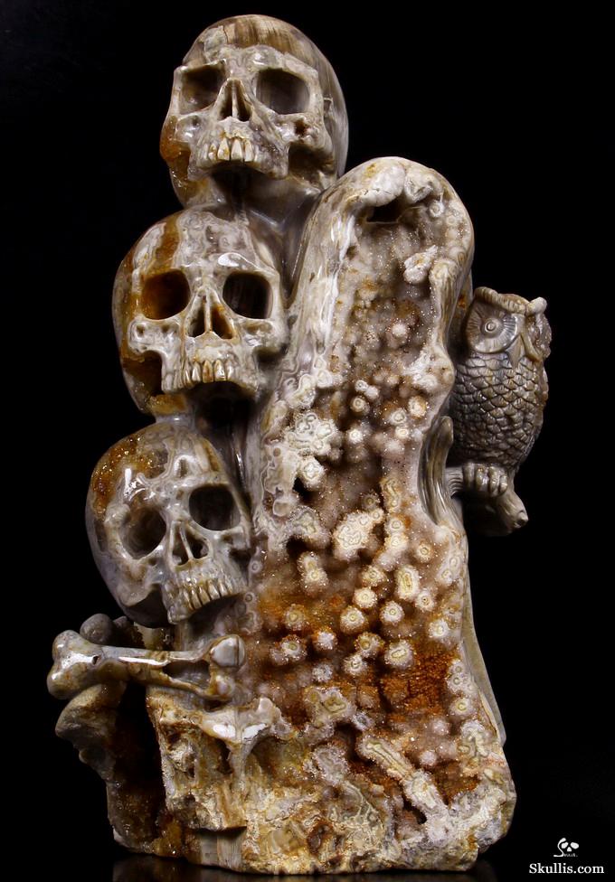 Feb 12, 2015 ACSAD (A Crystal Skull a Day) - Wisdom Through Experience - Petrified Wood Carved Crystal Skulls with Owl and Bones Sculpture Feb 12, 2015 ACSAD (A Crystal Skull a Day) - Wisdom Through Experience - Petrified Wood Carved Crystal Skulls with Owl and Bones Sculpture
