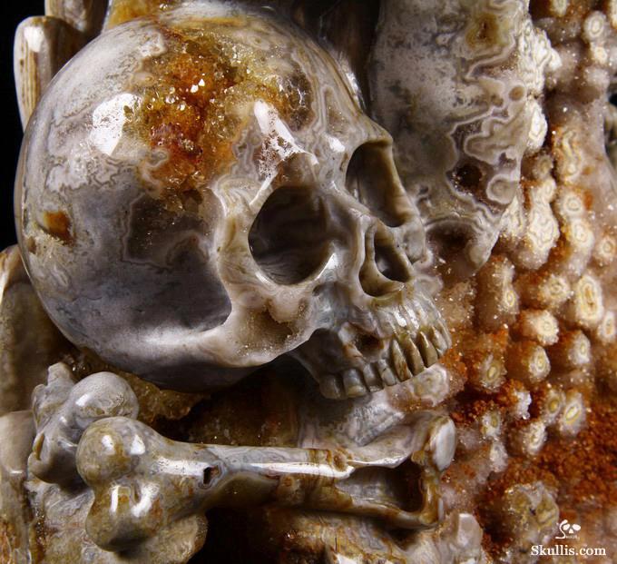 Feb 12, 2015 ACSAD (A Crystal Skull a Day) - Wisdom Through Experience - Petrified Wood Carved Crystal Skulls with Owl and Bones Sculpture Feb 12, 2015 ACSAD (A Crystal Skull a Day) - Wisdom Through Experience - Petrified Wood Carved Crystal Skulls with Owl and Bones Sculpture