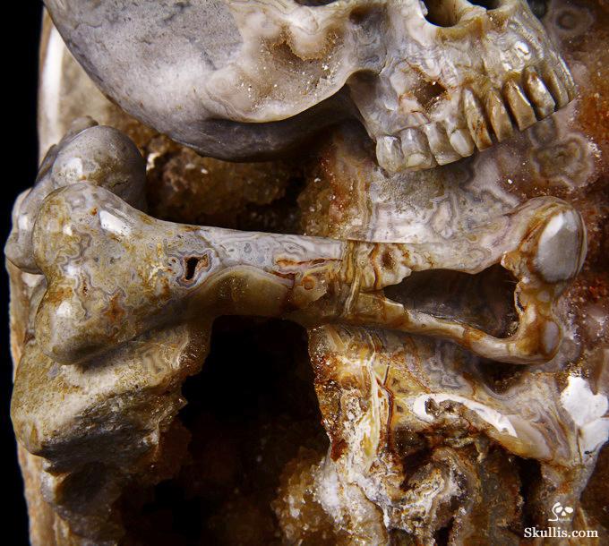 Feb 12, 2015 ACSAD (A Crystal Skull a Day) - Wisdom Through Experience - Petrified Wood Carved Crystal Skulls with Owl and Bones Sculpture Feb 12, 2015 ACSAD (A Crystal Skull a Day) - Wisdom Through Experience - Petrified Wood Carved Crystal Skulls with Owl and Bones Sculpture