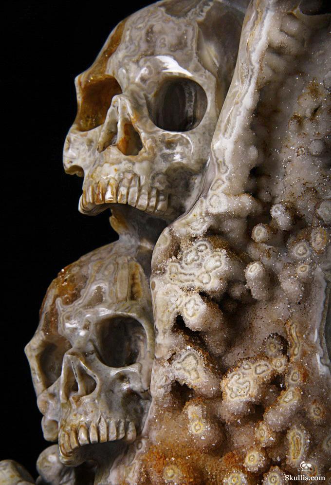Feb 12, 2015 ACSAD (A Crystal Skull a Day) - Wisdom Through Experience - Petrified Wood Carved Crystal Skulls with Owl and Bones Sculpture Feb 12, 2015 ACSAD (A Crystal Skull a Day) - Wisdom Through Experience - Petrified Wood Carved Crystal Skulls with Owl and Bones Sculpture