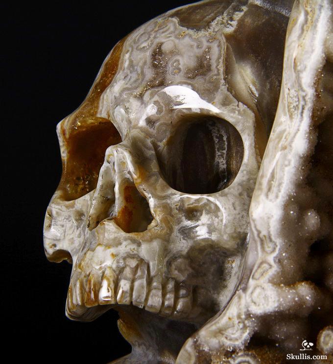 Feb 12, 2015 ACSAD (A Crystal Skull a Day) - Wisdom Through Experience - Petrified Wood Carved Crystal Skulls with Owl and Bones Sculpture Feb 12, 2015 ACSAD (A Crystal Skull a Day) - Wisdom Through Experience - Petrified Wood Carved Crystal Skulls with Owl and Bones Sculpture