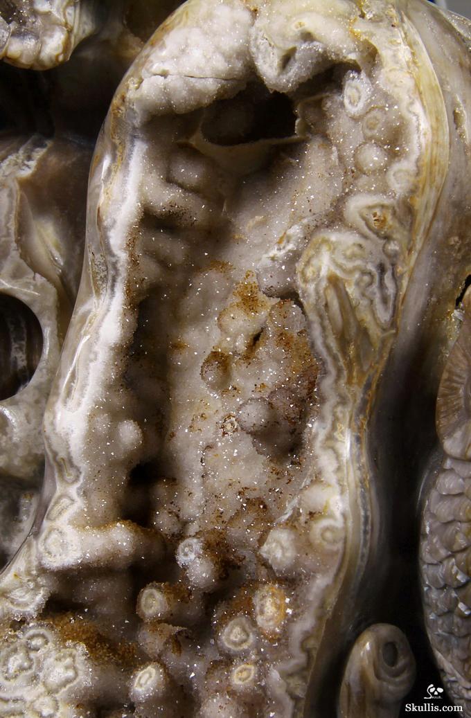 Feb 12, 2015 ACSAD (A Crystal Skull a Day) - Wisdom Through Experience - Petrified Wood Carved Crystal Skulls with Owl and Bones Sculpture Feb 12, 2015 ACSAD (A Crystal Skull a Day) - Wisdom Through Experience - Petrified Wood Carved Crystal Skulls with Owl and Bones Sculpture