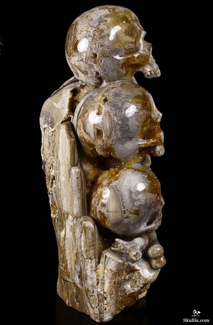 Feb 12, 2015 ACSAD (A Crystal Skull a Day) - Wisdom Through Experience - Petrified Wood Carved Crystal Skulls with Owl and Bones Sculpture Feb 12, 2015 ACSAD (A Crystal Skull a Day) - Wisdom Through Experience - Petrified Wood Carved Crystal Skulls with Owl and Bones Sculpture