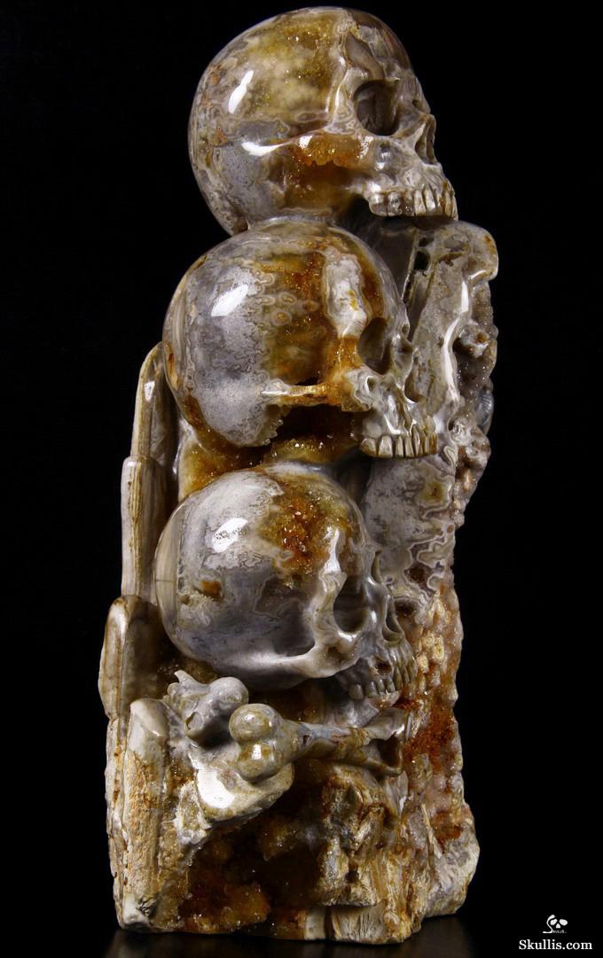 Feb 12, 2015 ACSAD (A Crystal Skull a Day) - Wisdom Through Experience - Petrified Wood Carved Crystal Skulls with Owl and Bones Sculpture Feb 12, 2015 ACSAD (A Crystal Skull a Day) - Wisdom Through Experience - Petrified Wood Carved Crystal Skulls with Owl and Bones Sculpture