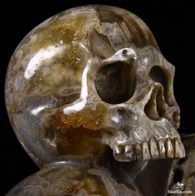 Feb 12, 2015 ACSAD (A Crystal Skull a Day) - Wisdom Through Experience - Petrified Wood Carved Crystal Skulls with Owl and Bones Sculpture Feb 12, 2015 ACSAD (A Crystal Skull a Day) - Wisdom Through Experience - Petrified Wood Carved Crystal Skulls with Owl and Bones Sculpture