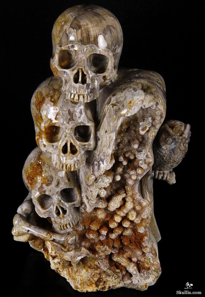 Feb 12, 2015 ACSAD (A Crystal Skull a Day) - Wisdom Through Experience - Petrified Wood Carved Crystal Skulls with Owl and Bones Sculpture Feb 12, 2015 ACSAD (A Crystal Skull a Day) - Wisdom Through Experience - Petrified Wood Carved Crystal Skulls with Owl and Bones Sculpture