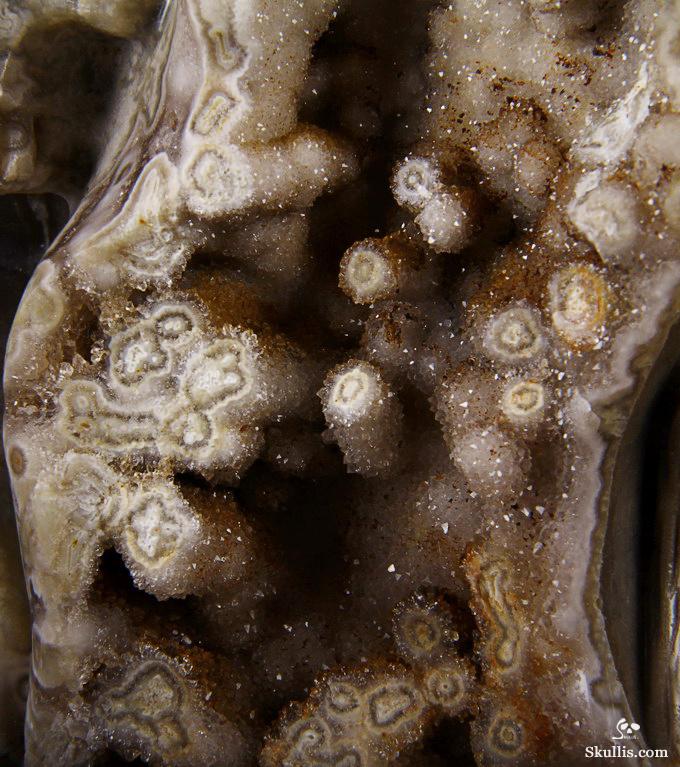 Feb 12, 2015 ACSAD (A Crystal Skull a Day) - Wisdom Through Experience - Petrified Wood Carved Crystal Skulls with Owl and Bones Sculpture Feb 12, 2015 ACSAD (A Crystal Skull a Day) - Wisdom Through Experience - Petrified Wood Carved Crystal Skulls with Owl and Bones Sculpture