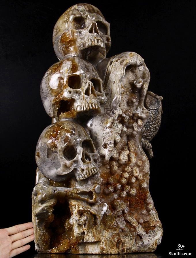 Feb 12, 2015 ACSAD (A Crystal Skull a Day) - Wisdom Through Experience - Petrified Wood Carved Crystal Skulls with Owl and Bones Sculpture Feb 12, 2015 ACSAD (A Crystal Skull a Day) - Wisdom Through Experience - Petrified Wood Carved Crystal Skulls with Owl and Bones Sculpture