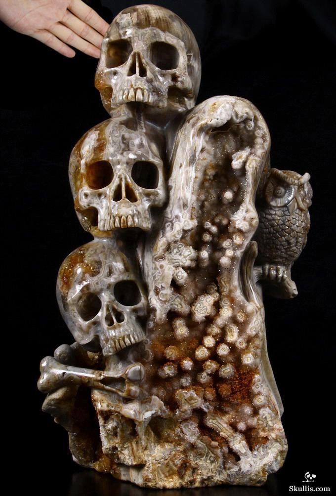 Feb 12, 2015 ACSAD (A Crystal Skull a Day) - Wisdom Through Experience - Petrified Wood Carved Crystal Skulls with Owl and Bones Sculpture Feb 12, 2015 ACSAD (A Crystal Skull a Day) - Wisdom Through Experience - Petrified Wood Carved Crystal Skulls with Owl and Bones Sculpture