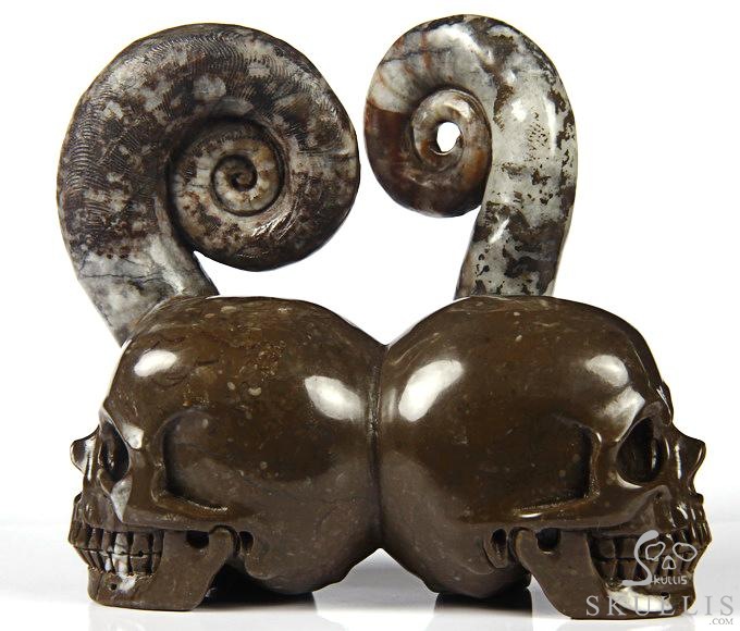 July 25, 2014 ACSAD (A Crystal Skull a Day) - Soul Mates - Lituites Fossil Pair Carved Crystal Skull Sculpture July 25, 2014 ACSAD (A Crystal Skull a Day) - Soul Mates - Lituites Fossil Pair Carved Crystal Skull Sculpture