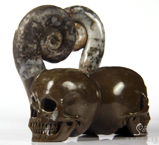 July 25, 2014 ACSAD (A Crystal Skull a Day) - Soul Mates - Lituites Fossil Pair Carved Crystal Skull Sculpture July 25, 2014 ACSAD (A Crystal Skull a Day) - Soul Mates - Lituites Fossil Pair Carved Crystal Skull Sculpture