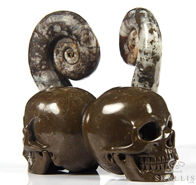 July 25, 2014 ACSAD (A Crystal Skull a Day) - Soul Mates - Lituites Fossil Pair Carved Crystal Skull Sculpture July 25, 2014 ACSAD (A Crystal Skull a Day) - Soul Mates - Lituites Fossil Pair Carved Crystal Skull Sculpture