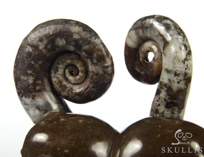 July 25, 2014 ACSAD (A Crystal Skull a Day) - Soul Mates - Lituites Fossil Pair Carved Crystal Skull Sculpture July 25, 2014 ACSAD (A Crystal Skull a Day) - Soul Mates - Lituites Fossil Pair Carved Crystal Skull Sculpture