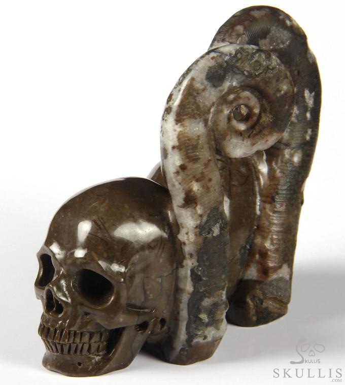 July 25, 2014 ACSAD (A Crystal Skull a Day) - Soul Mates - Lituites Fossil Pair Carved Crystal Skull Sculpture July 25, 2014 ACSAD (A Crystal Skull a Day) - Soul Mates - Lituites Fossil Pair Carved Crystal Skull Sculpture