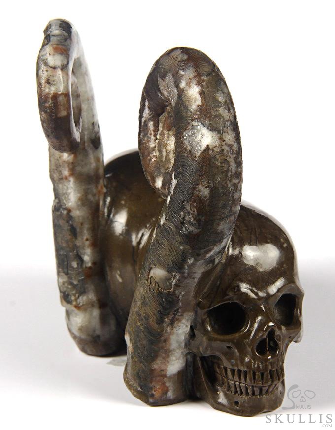 July 25, 2014 ACSAD (A Crystal Skull a Day) - Soul Mates - Lituites Fossil Pair Carved Crystal Skull Sculpture July 25, 2014 ACSAD (A Crystal Skull a Day) - Soul Mates - Lituites Fossil Pair Carved Crystal Skull Sculpture