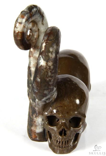 July 25, 2014 ACSAD (A Crystal Skull a Day) - Soul Mates - Lituites Fossil Pair Carved Crystal Skull Sculpture July 25, 2014 ACSAD (A Crystal Skull a Day) - Soul Mates - Lituites Fossil Pair Carved Crystal Skull Sculpture