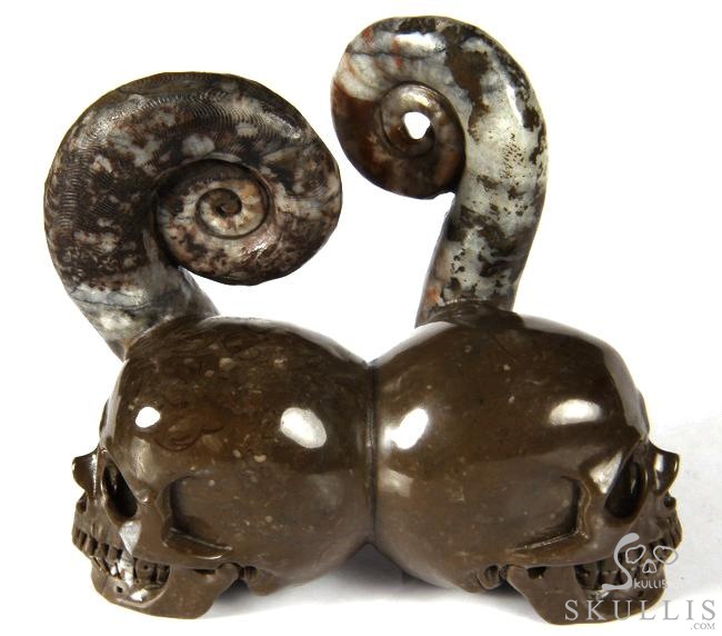 July 25, 2014 ACSAD (A Crystal Skull a Day) - Soul Mates - Lituites Fossil Pair Carved Crystal Skull Sculpture July 25, 2014 ACSAD (A Crystal Skull a Day) - Soul Mates - Lituites Fossil Pair Carved Crystal Skull Sculpture