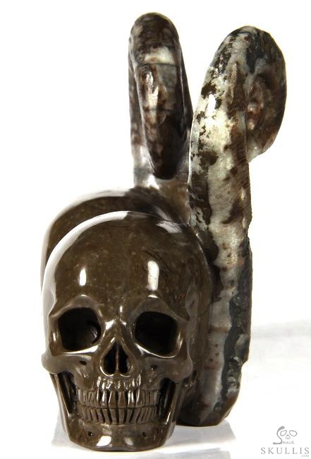 July 25, 2014 ACSAD (A Crystal Skull a Day) - Soul Mates - Lituites Fossil Pair Carved Crystal Skull Sculpture July 25, 2014 ACSAD (A Crystal Skull a Day) - Soul Mates - Lituites Fossil Pair Carved Crystal Skull Sculpture