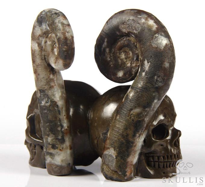 July 25, 2014 ACSAD (A Crystal Skull a Day) - Soul Mates - Lituites Fossil Pair Carved Crystal Skull Sculpture July 25, 2014 ACSAD (A Crystal Skull a Day) - Soul Mates - Lituites Fossil Pair Carved Crystal Skull Sculpture