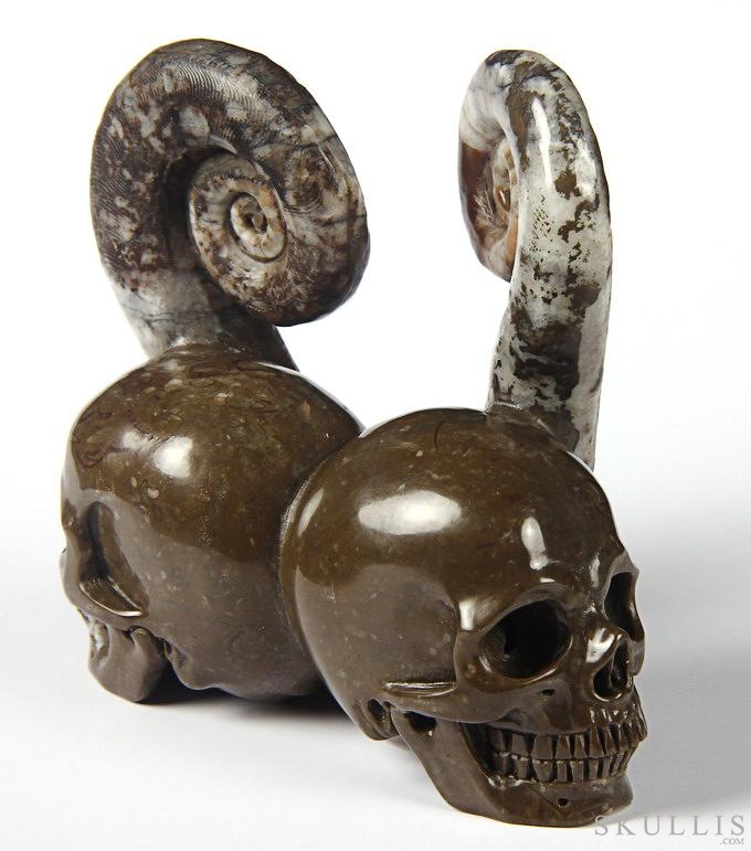 July 25, 2014 ACSAD (A Crystal Skull a Day) - Soul Mates - Lituites Fossil Pair Carved Crystal Skull Sculpture July 25, 2014 ACSAD (A Crystal Skull a Day) - Soul Mates - Lituites Fossil Pair Carved Crystal Skull Sculpture