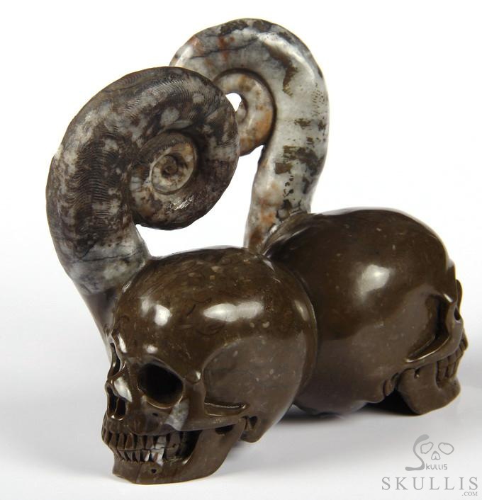 July 25, 2014 ACSAD (A Crystal Skull a Day) - Soul Mates - Lituites Fossil Pair Carved Crystal Skull Sculpture July 25, 2014 ACSAD (A Crystal Skull a Day) - Soul Mates - Lituites Fossil Pair Carved Crystal Skull Sculpture