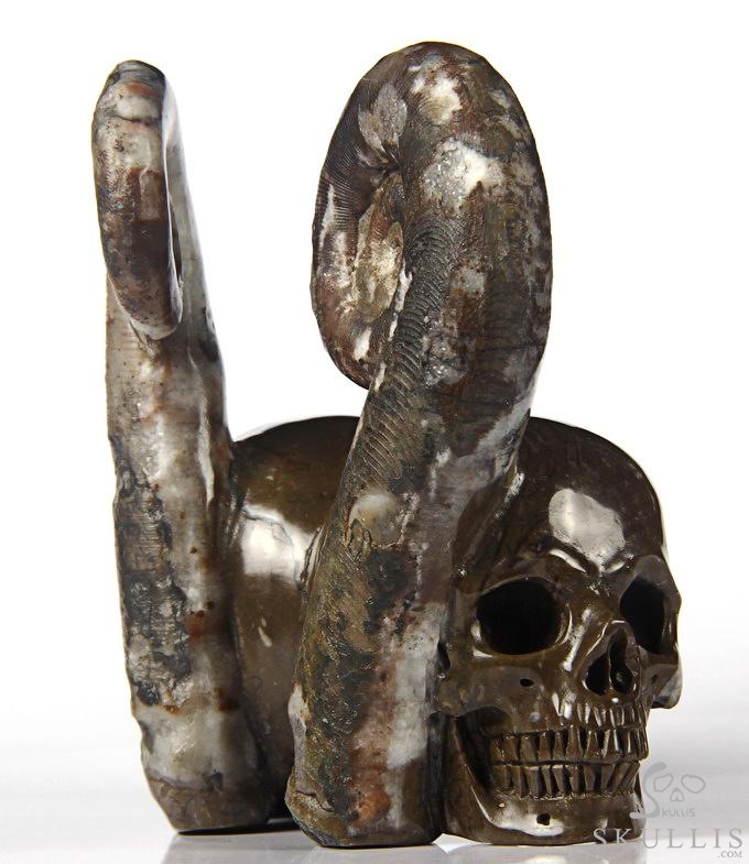 July 25, 2014 ACSAD (A Crystal Skull a Day) - Soul Mates - Lituites Fossil Pair Carved Crystal Skull Sculpture July 25, 2014 ACSAD (A Crystal Skull a Day) - Soul Mates - Lituites Fossil Pair Carved Crystal Skull Sculpture