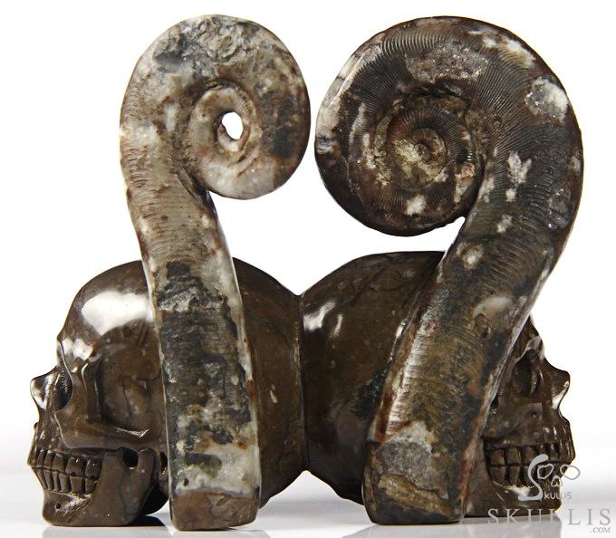 July 25, 2014 ACSAD (A Crystal Skull a Day) - Soul Mates - Lituites Fossil Pair Carved Crystal Skull Sculpture July 25, 2014 ACSAD (A Crystal Skull a Day) - Soul Mates - Lituites Fossil Pair Carved Crystal Skull Sculpture