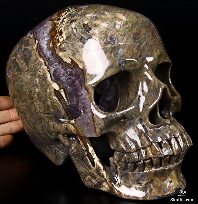 Aug 14, 2014 ACSAD (A Crystal Skull a Day) - Trusting the Process - Dinosaur Egg Agate Amethyst Geode Carved Crystal Skull Sculpture Aug 14, 2014 ACSAD (A Crystal Skull a Day) - Trusting the Process - Dinosaur Egg Agate Amethyst Geode Carved Crystal Skull Sculpture