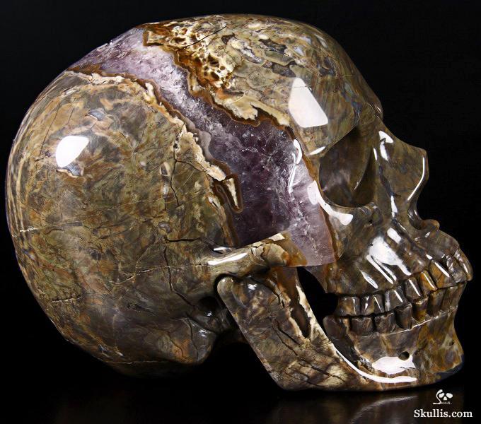 Aug 14, 2014 ACSAD (A Crystal Skull a Day) - Trusting the Process - Dinosaur Egg Agate Amethyst Geode Carved Crystal Skull Sculpture Aug 14, 2014 ACSAD (A Crystal Skull a Day) - Trusting the Process - Dinosaur Egg Agate Amethyst Geode Carved Crystal Skull Sculpture