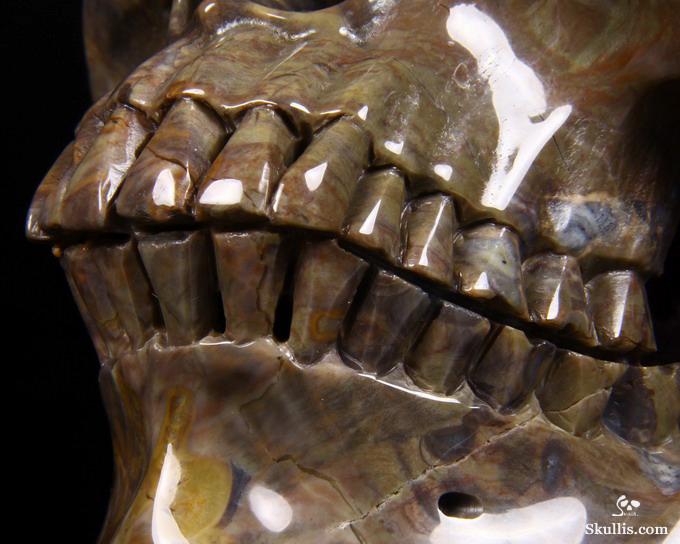 Aug 14, 2014 ACSAD (A Crystal Skull a Day) - Trusting the Process - Dinosaur Egg Agate Amethyst Geode Carved Crystal Skull Sculpture Aug 14, 2014 ACSAD (A Crystal Skull a Day) - Trusting the Process - Dinosaur Egg Agate Amethyst Geode Carved Crystal Skull Sculpture