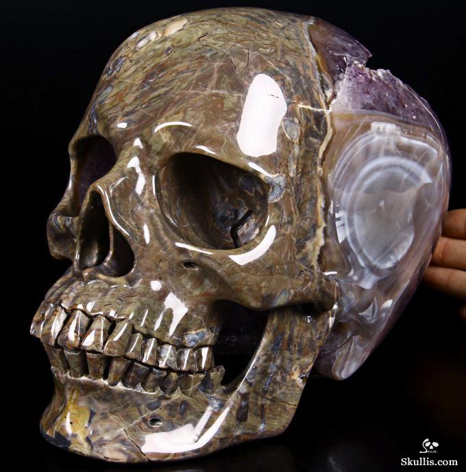Aug 14, 2014 ACSAD (A Crystal Skull a Day) - Trusting the Process - Dinosaur Egg Agate Amethyst Geode Carved Crystal Skull Sculpture Aug 14, 2014 ACSAD (A Crystal Skull a Day) - Trusting the Process - Dinosaur Egg Agate Amethyst Geode Carved Crystal Skull Sculpture