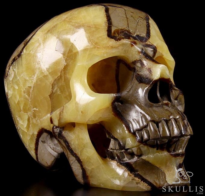 Sept 21, 2014 ACSAD (A Crystal Skull a Day) - Storm Energy - Dragon Septarian Stone Carved Crystal Skull Sculpture Sept 21, 2014 ACSAD (A Crystal Skull a Day) - Storm Energy - Dragon Septarian Stone Carved Crystal Skull Sculpture