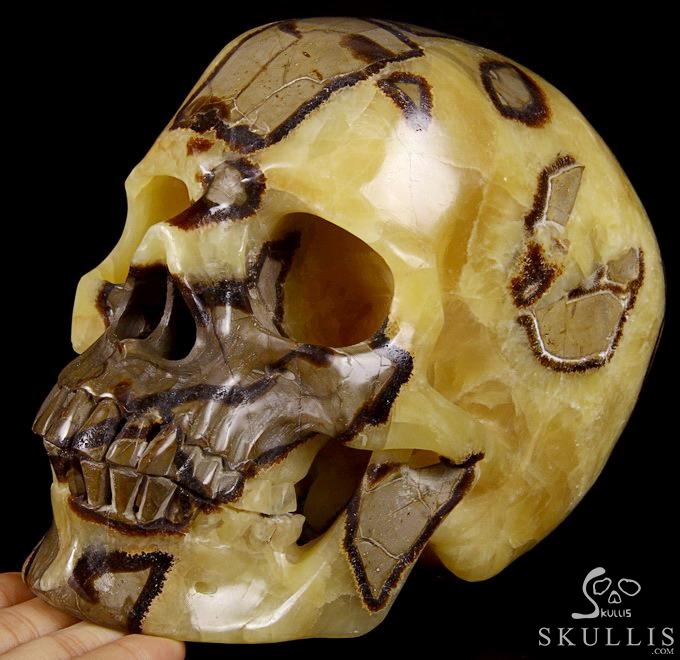 Sept 21, 2014 ACSAD (A Crystal Skull a Day) - Storm Energy - Dragon Septarian Stone Carved Crystal Skull Sculpture Sept 21, 2014 ACSAD (A Crystal Skull a Day) - Storm Energy - Dragon Septarian Stone Carved Crystal Skull Sculpture