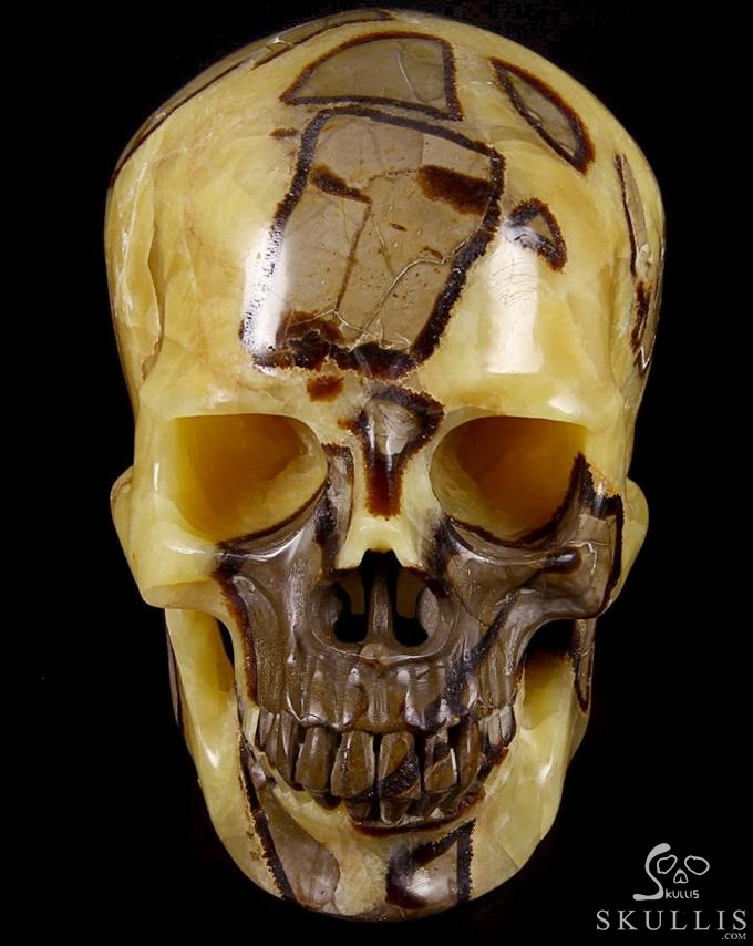 Sept 21, 2014 ACSAD (A Crystal Skull a Day) - Storm Energy - Dragon Septarian Stone Carved Crystal Skull Sculpture Sept 21, 2014 ACSAD (A Crystal Skull a Day) - Storm Energy - Dragon Septarian Stone Carved Crystal Skull Sculpture
