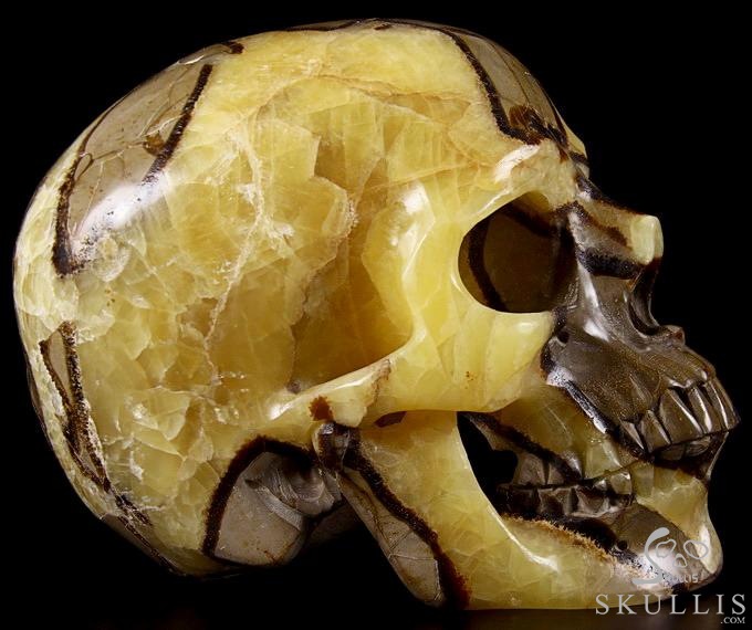 Sept 21, 2014 ACSAD (A Crystal Skull a Day) - Storm Energy - Dragon Septarian Stone Carved Crystal Skull Sculpture Sept 21, 2014 ACSAD (A Crystal Skull a Day) - Storm Energy - Dragon Septarian Stone Carved Crystal Skull Sculpture