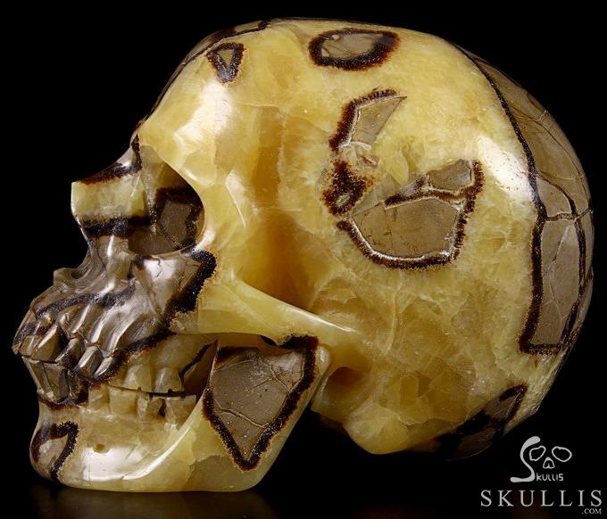 Sept 21, 2014 ACSAD (A Crystal Skull a Day) - Storm Energy - Dragon Septarian Stone Carved Crystal Skull Sculpture Sept 21, 2014 ACSAD (A Crystal Skull a Day) - Storm Energy - Dragon Septarian Stone Carved Crystal Skull Sculpture