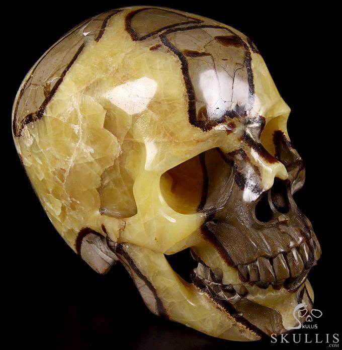 Sept 21, 2014 ACSAD (A Crystal Skull a Day) - Storm Energy - Dragon Septarian Stone Carved Crystal Skull Sculpture Sept 21, 2014 ACSAD (A Crystal Skull a Day) - Storm Energy - Dragon Septarian Stone Carved Crystal Skull Sculpture