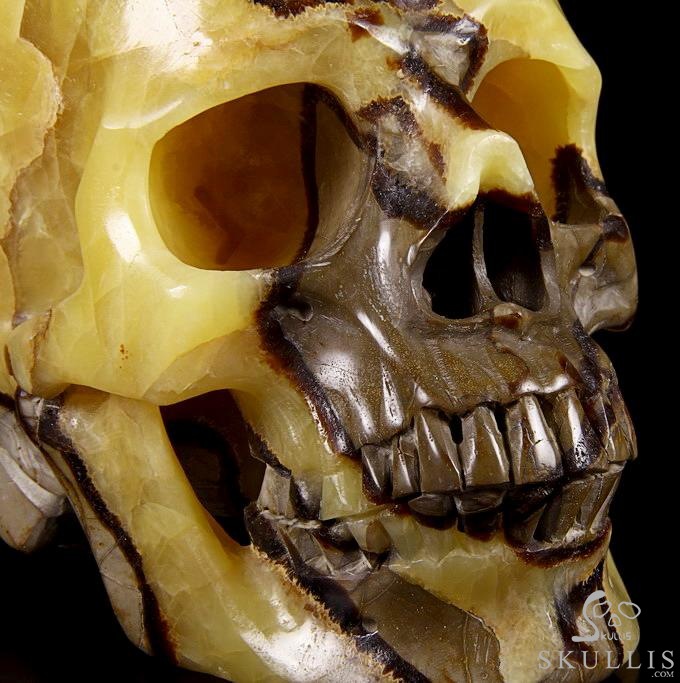 Sept 21, 2014 ACSAD (A Crystal Skull a Day) - Storm Energy - Dragon Septarian Stone Carved Crystal Skull Sculpture Sept 21, 2014 ACSAD (A Crystal Skull a Day) - Storm Energy - Dragon Septarian Stone Carved Crystal Skull Sculpture