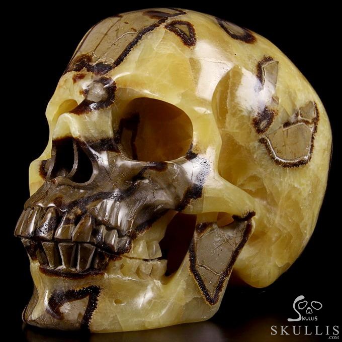 Sept 21, 2014 ACSAD (A Crystal Skull a Day) - Storm Energy - Dragon Septarian Stone Carved Crystal Skull Sculpture Sept 21, 2014 ACSAD (A Crystal Skull a Day) - Storm Energy - Dragon Septarian Stone Carved Crystal Skull Sculpture