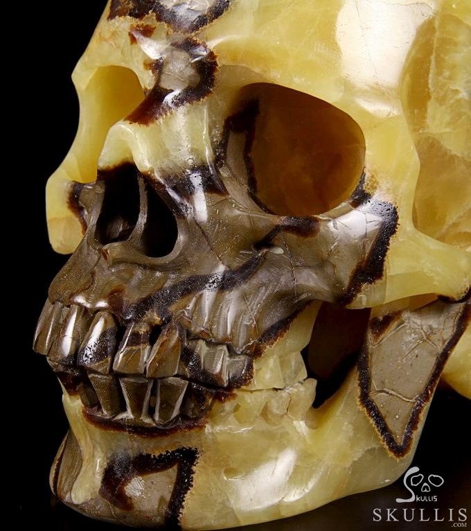 Sept 21, 2014 ACSAD (A Crystal Skull a Day) - Storm Energy - Dragon Septarian Stone Carved Crystal Skull Sculpture Sept 21, 2014 ACSAD (A Crystal Skull a Day) - Storm Energy - Dragon Septarian Stone Carved Crystal Skull Sculpture