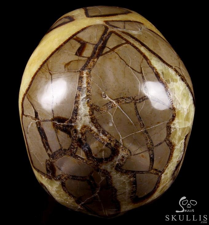 Sept 21, 2014 ACSAD (A Crystal Skull a Day) - Storm Energy - Dragon Septarian Stone Carved Crystal Skull Sculpture Sept 21, 2014 ACSAD (A Crystal Skull a Day) - Storm Energy - Dragon Septarian Stone Carved Crystal Skull Sculpture