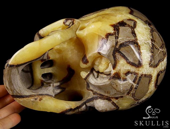 Sept 21, 2014 ACSAD (A Crystal Skull a Day) - Storm Energy - Dragon Septarian Stone Carved Crystal Skull Sculpture Sept 21, 2014 ACSAD (A Crystal Skull a Day) - Storm Energy - Dragon Septarian Stone Carved Crystal Skull Sculpture