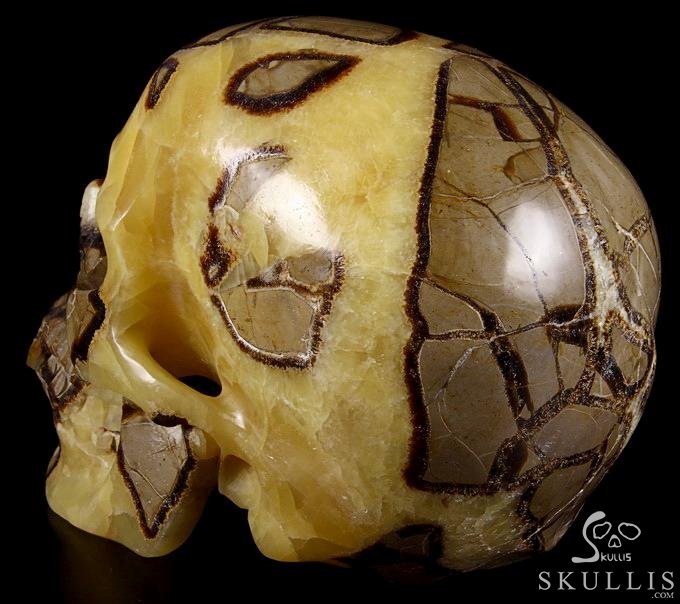 Sept 21, 2014 ACSAD (A Crystal Skull a Day) - Storm Energy - Dragon Septarian Stone Carved Crystal Skull Sculpture Sept 21, 2014 ACSAD (A Crystal Skull a Day) - Storm Energy - Dragon Septarian Stone Carved Crystal Skull Sculpture