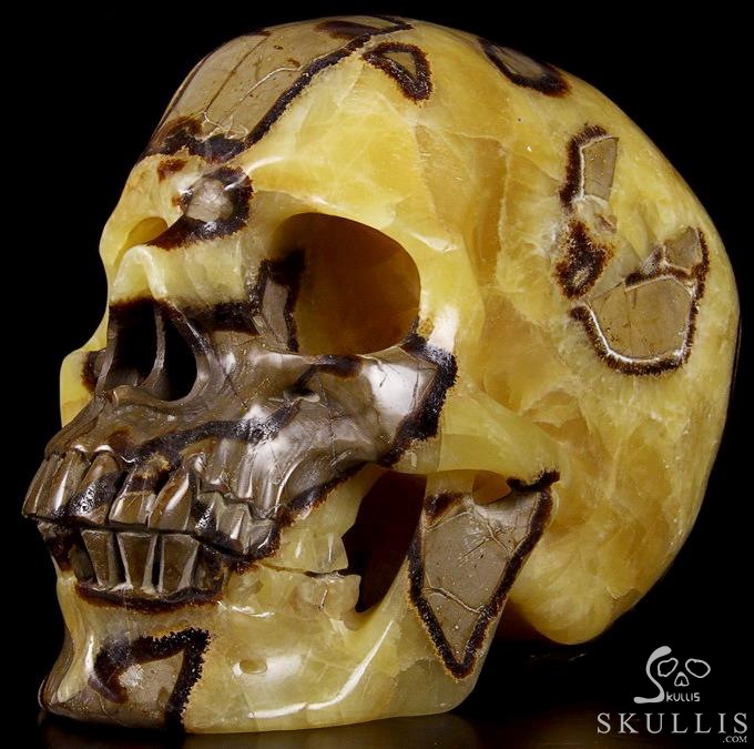 Sept 21, 2014 ACSAD (A Crystal Skull a Day) - Storm Energy - Dragon Septarian Stone Carved Crystal Skull Sculpture Sept 21, 2014 ACSAD (A Crystal Skull a Day) - Storm Energy - Dragon Septarian Stone Carved Crystal Skull Sculpture