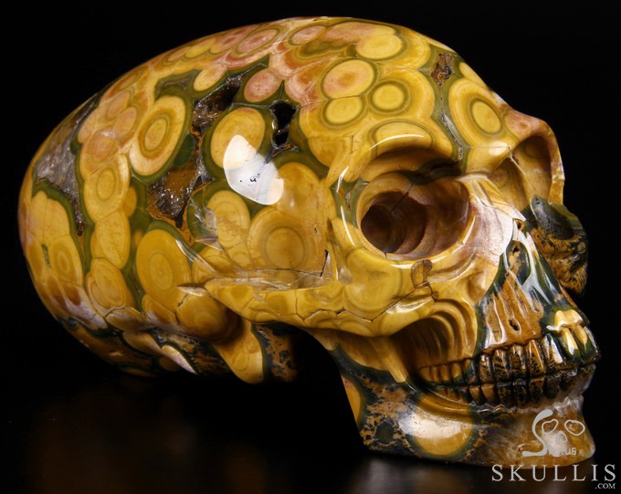 Stunning Giant 8.3" Ocean Jasper Carved Elongated Mayan Alien Crystal Skull, Reiki Healing Stone Statue Stunning Giant 8.3" Ocean Jasper Carved Elongated Mayan Alien Crystal Skull, Reiki Healing Stone Statue
