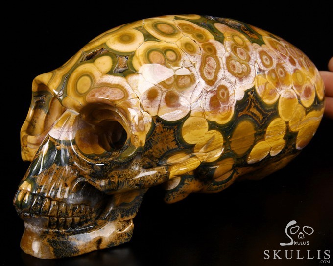 Stunning Giant 8.3" Ocean Jasper Carved Elongated Mayan Alien Crystal Skull, Reiki Healing Stone Statue Stunning Giant 8.3" Ocean Jasper Carved Elongated Mayan Alien Crystal Skull, Reiki Healing Stone Statue