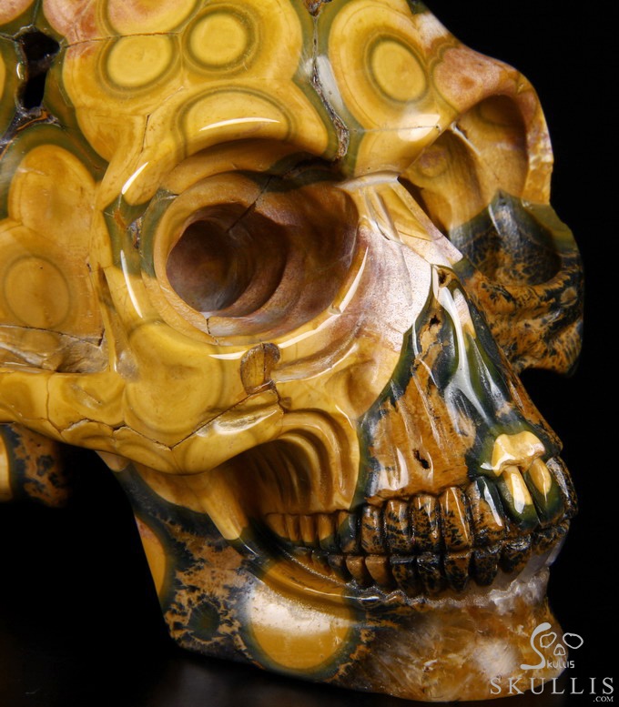 Stunning Giant 8.3" Ocean Jasper Carved Elongated Mayan Alien Crystal Skull, Reiki Healing Stone Statue Stunning Giant 8.3" Ocean Jasper Carved Elongated Mayan Alien Crystal Skull, Reiki Healing Stone Statue