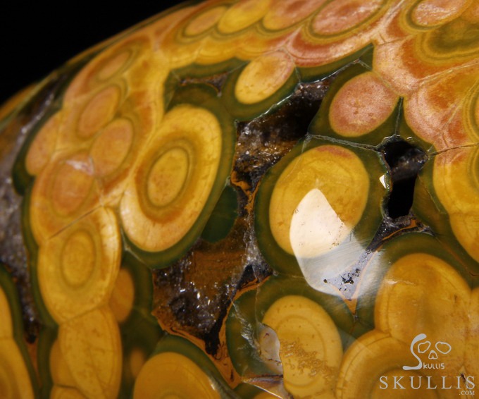 Stunning Giant 8.3" Ocean Jasper Carved Elongated Mayan Alien Crystal Skull, Reiki Healing Stone Statue Stunning Giant 8.3" Ocean Jasper Carved Elongated Mayan Alien Crystal Skull, Reiki Healing Stone Statue